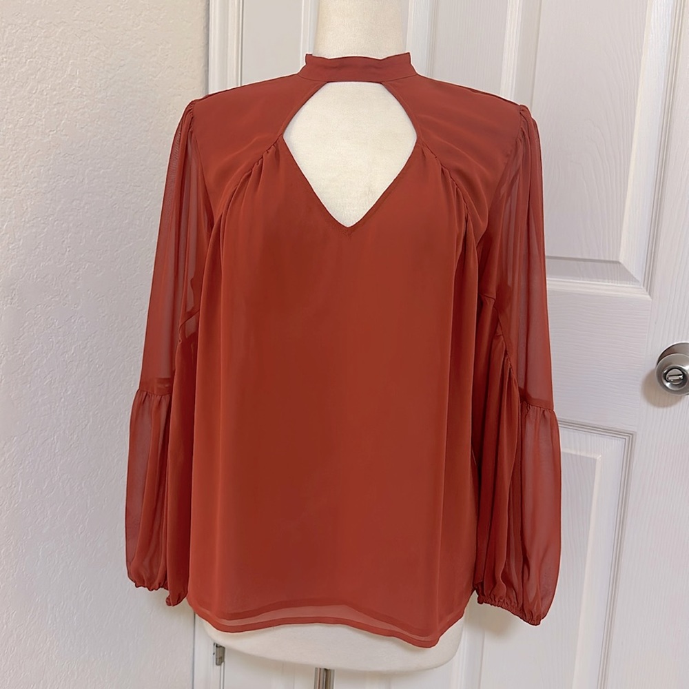 Express long sleeve sheer blouse